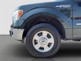 Used 2014 Ford F150 XLT image 5