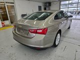 Certified 2024 Chevrolet Malibu LT image 5