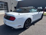 Used 2023 Ford Mustang Premium image 3