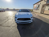 Used 2018 Ford Mustang Premium w/ Equipment Group 201A image 3