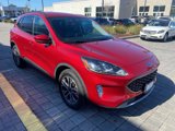 Used 2020 Ford Escape SEL image 5