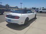 Certified 2023 Ford Mustang Premium image 5