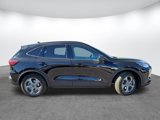 New 2025 Ford Escape ST-Line w/ Tech Pack #1 image 4
