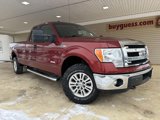 Used 2014 Ford F150 XLT image 2