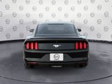 Used 2016 Ford Mustang Coupe image 4