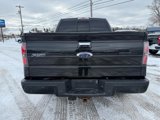 Used 2013 Ford F150 Limited image 5