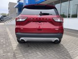 Used 2020 Ford Escape SE image 4