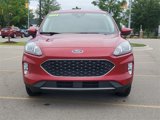 Used 2022 Ford Escape SEL w/ Technology Package image 2