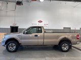 Used 2006 Ford F150 XLT image 5