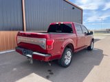 Used 2015 Ford F150 Platinum image 5