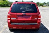 Used 2011 Ford Escape XLT w/ 203A Rapid Spec Order Code image 6