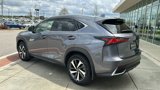 Used 2020 Lexus NX 300h AWD w/ Premium Package image 5