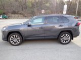 Used 2019 Toyota RAV4 XLE Premium image 6