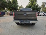Used 2009 Ford F150 XLT image 6