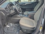 Certified 2022 Ford Escape SE w/ Convenience Package image 4