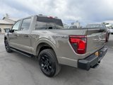 New 2025 Ford F150 STX image 3
