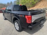 Used 2016 Ford F150 Platinum w/ Equipment Group 701A Luxury image 5