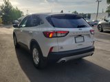 Used 2021 Ford Escape SE image 5