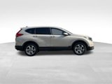 Used 2019 Honda CR-V EX-L image 2