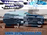 View Video