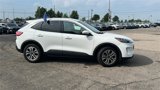 Certified 2022 Ford Escape SEL image 3