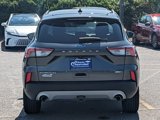 Used 2020 Ford Escape Titanium image 4