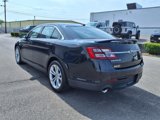 Used 2014 Ford Taurus SHO w/ Equipment Group 401A image 3