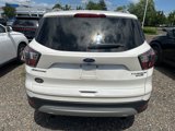 Used 2017 Ford Escape Titanium w/ Equipment Group 301A image 5