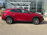 Used 2016 Lexus NX 200t AWD image 2
