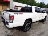 Certified 2021 Toyota Tacoma TRD Sport w/ Technology Package image 4