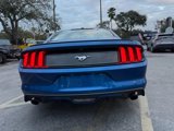 Used 2017 Ford Mustang Premium w/ Equipment Group 201A image 4