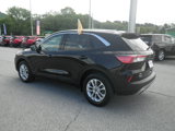 Certified 2022 Ford Escape SE w/ Convenience Package image 4
