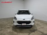 Used 2020 Ford Escape SE image 2