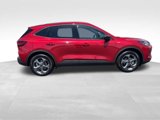 New 2025 Ford Escape ST-Line w/ Equipment Group 301A image 6