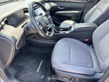 Used 2022 Hyundai Santa Cruz SEL Premium w/ Cargo Package image 6
