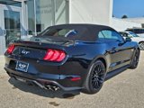 Used 2022 Ford Mustang GT Premium w/ GT Performance Package image 2