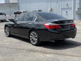 Used 2014 Honda Accord Sport image 3