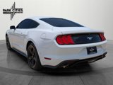 Used 2019 Ford Mustang Coupe image 5