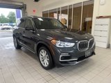 Used 2020 BMW X5 xDrive40i w/ Executive Package image 5