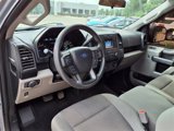 Used 2019 Ford F150 XL w/ Equipment Group 101A Mid image 5