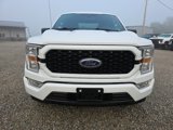 Used 2021 Ford F150 XL w/ STX Appearance Package image 3