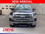Used 2014 Ford F150 XLT w/ XLT Chrome Package image 2