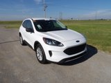 Used 2022 Ford Escape SE image 4