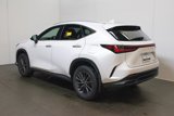 Used 2024 Lexus NX 350 AWD w/ Premium Package image 6