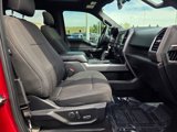 Used 2016 Ford F150 XLT w/ Equipment Group 302A Luxury image 5