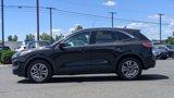 Used 2022 Ford Escape SEL image 5