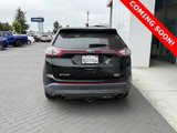 Used 2015 Ford Edge SEL w/ Equipment Group 201A image 3