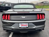 Used 2019 Ford Mustang Premium w/ Equipment Group 201A image 4