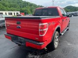 Used 2010 Ford F150 FX4 image 4