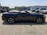 Used 2015 Ford Mustang Convertible w/ Equipment Group 051A image 4